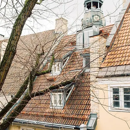 Apartment Elvis Apartment/11 Beds/6 Bedrooms/riga Old Town *