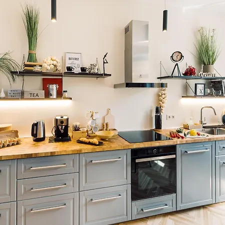 Elvis Apartment/11 Beds/6 Bedrooms/riga Old Town Apartment *
