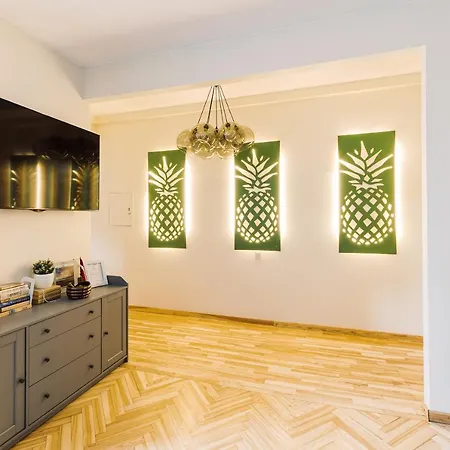 Elvis Apartment/11 Beds/6 Bedrooms/riga Old Town Apartment Riga