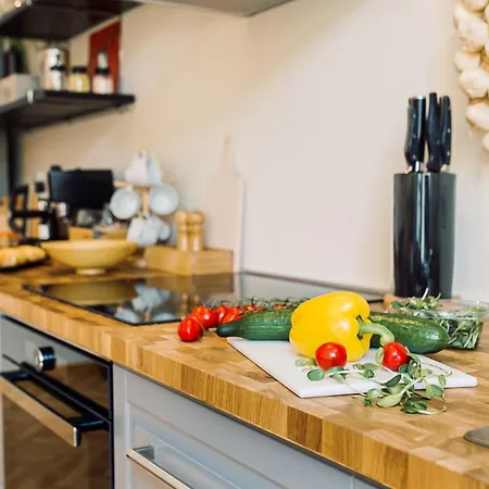 Elvis Apartment/11 Beds/6 Bedrooms/riga Old Town Apartment Riga