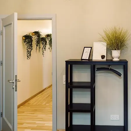 Elvis Apartment/11 Beds/6 Bedrooms/riga Old Town Apartment